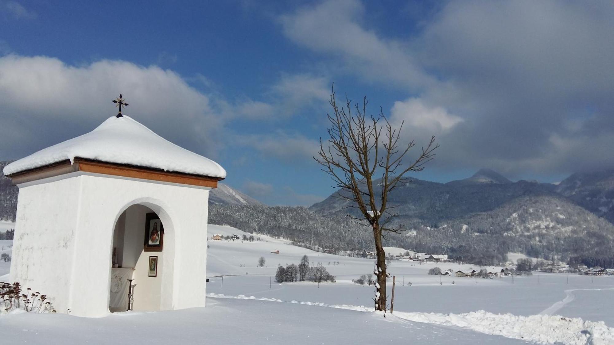 Villa Weinbachbauer - Urlaub Am Bauernhof Saint Wolfgang Exterior foto